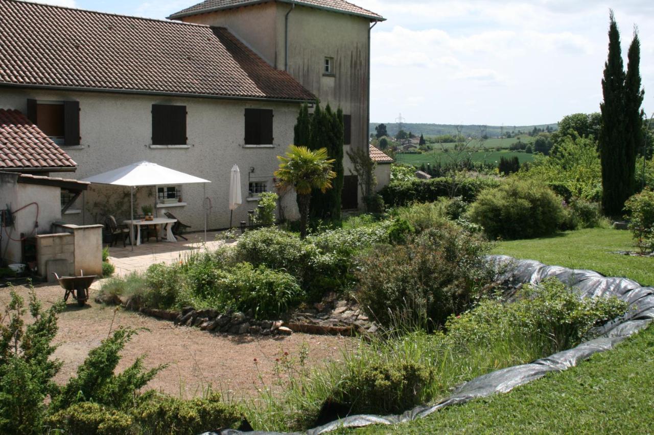1 Bedroom House 20min Walk To Centre In Tournus